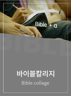 바이블칼리지 교재